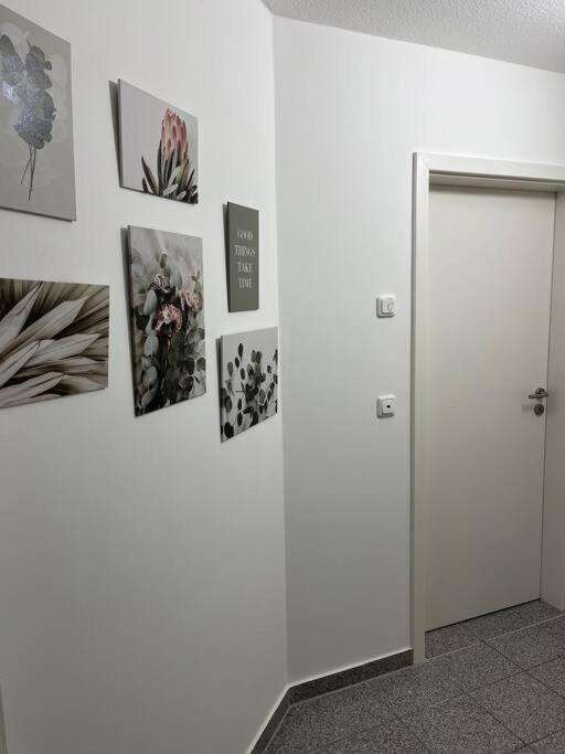 Neu Sanierte Wohnung Fuer 2-4 P 에슈베게 외부 사진